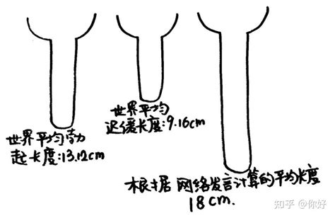 老二太短|人类阴茎尺寸